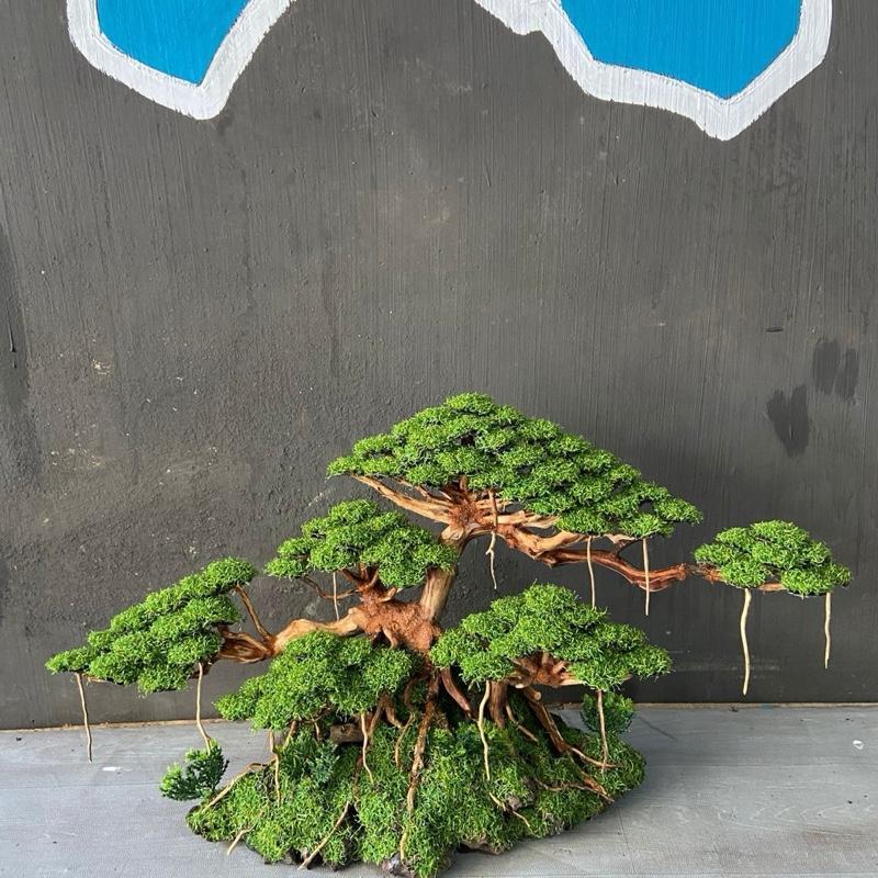 SIZE XL besar PxT (55x30) | Bonsai Aquarium / Aquascape / Bonsai Artificial