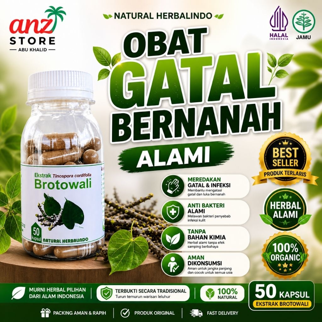 Obat Herbal Gatal Eksim Brotowali 50 Kapsul