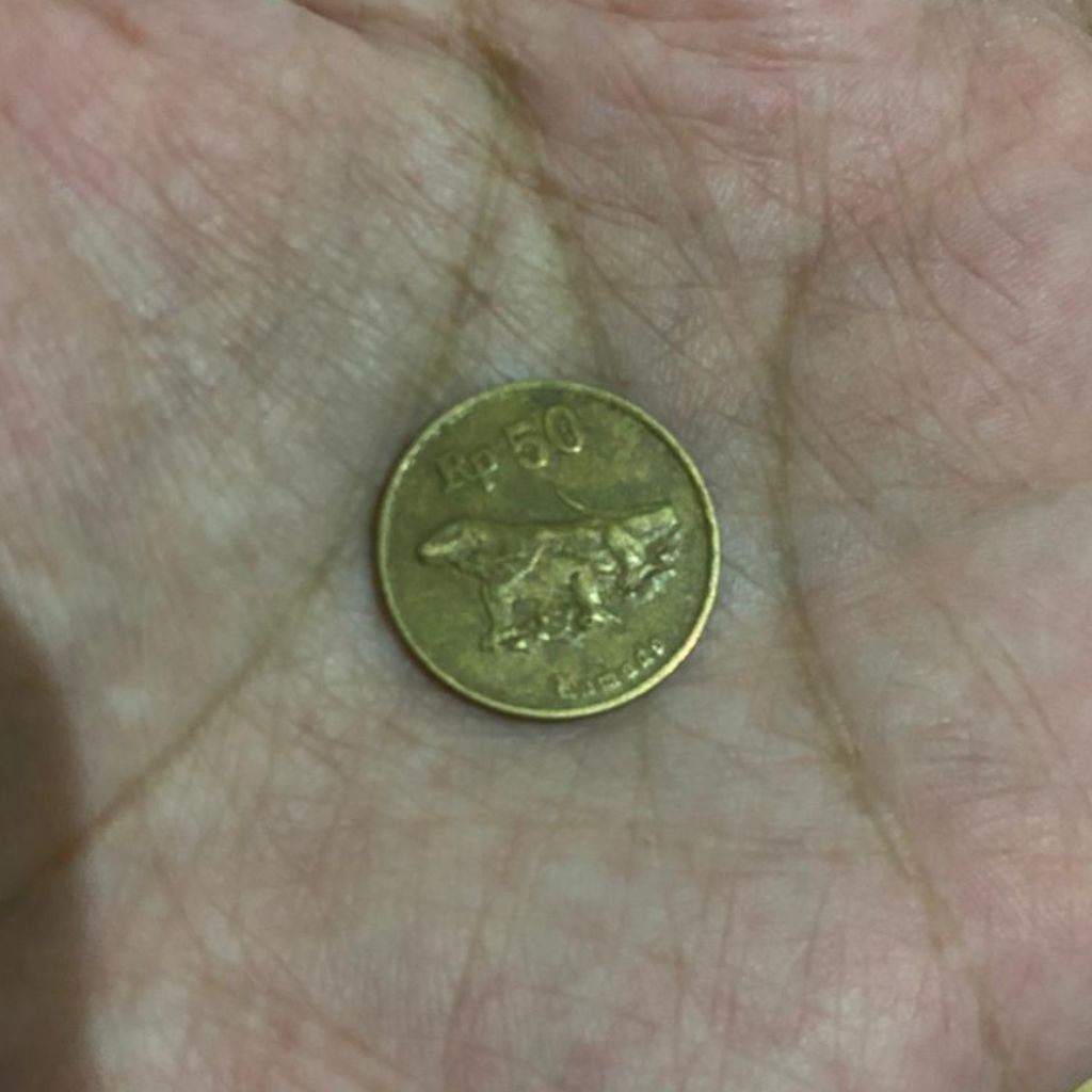 Koin/ Uang Logam 50 Rupiah Komodo Indonesia (1995
