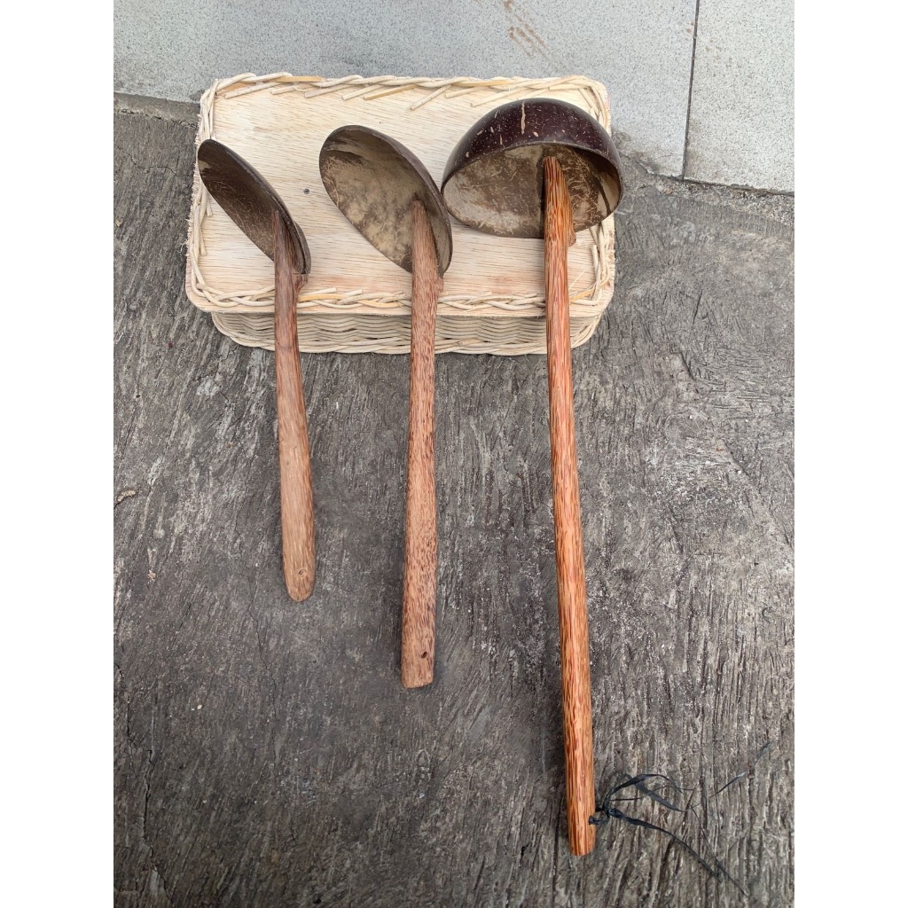 Irus Batok Kelapa Dengan Gagang Kayu Aren