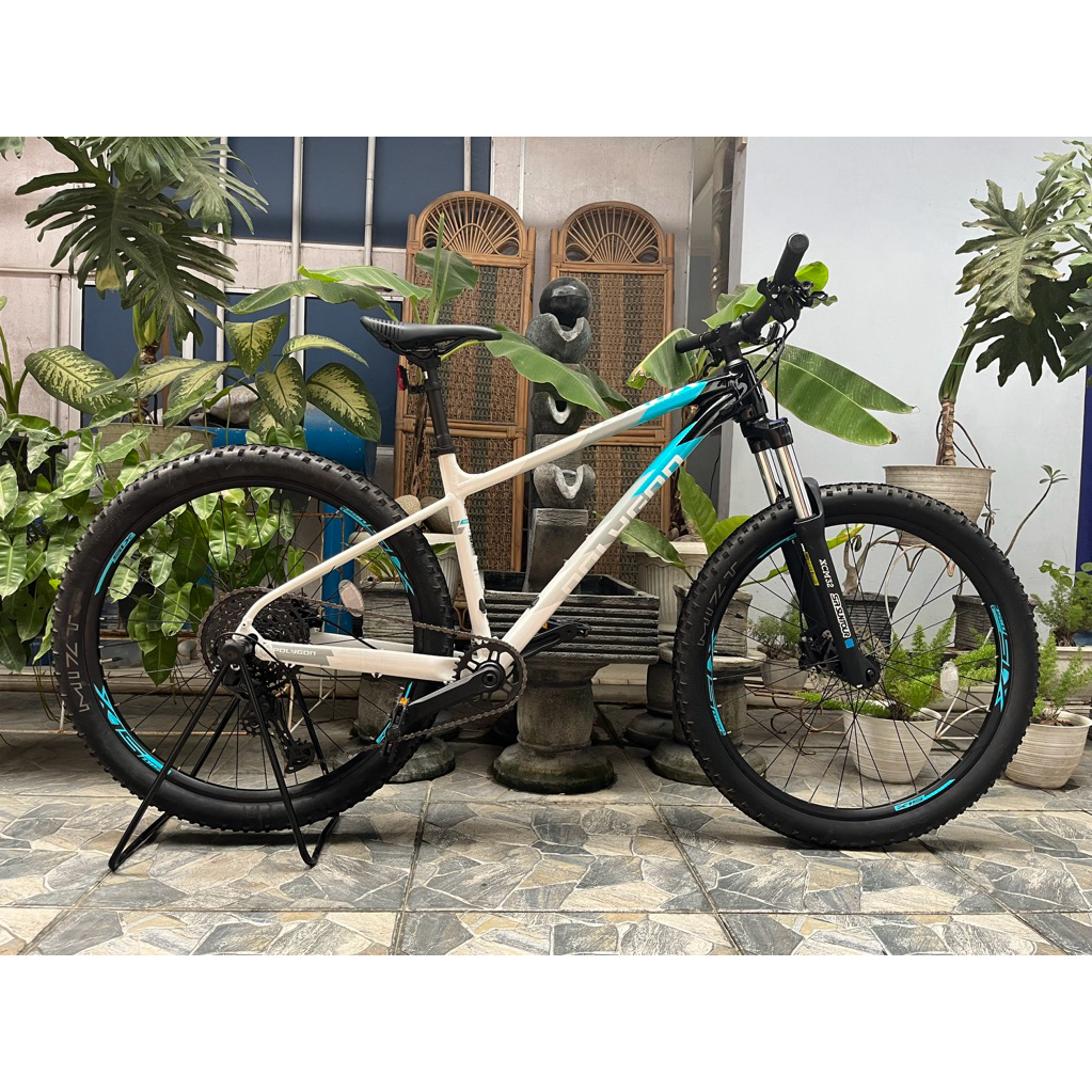 POLYGON XTRADA 5 2025