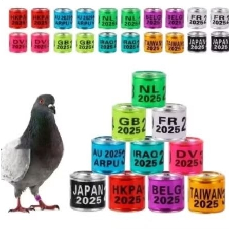 RING BURUNG IMPORT MERPATI MPOS KOLONG BALAP