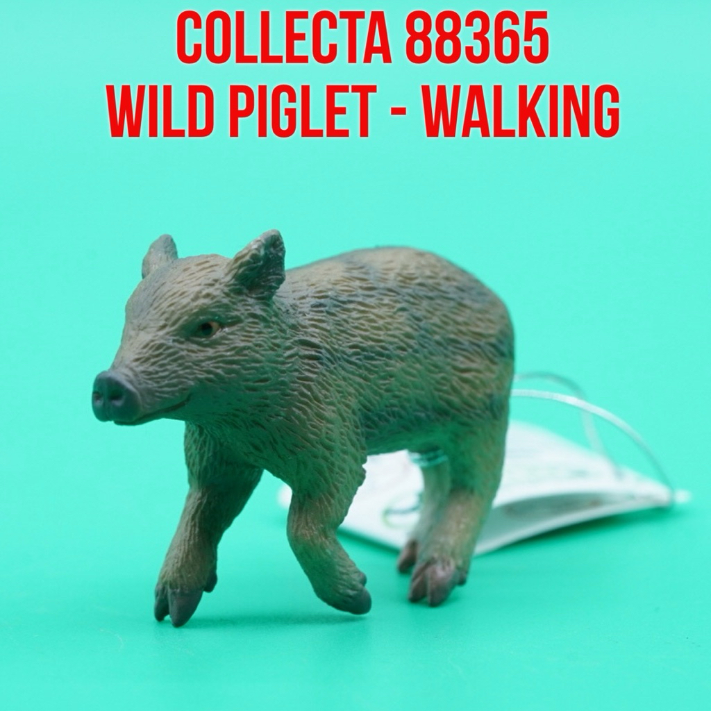 Collecta 88365 Wild Boar Wild Piglet Walking Pig Babirusa Anak Babi Hutan Celeng Sus Scrofa | Mainan