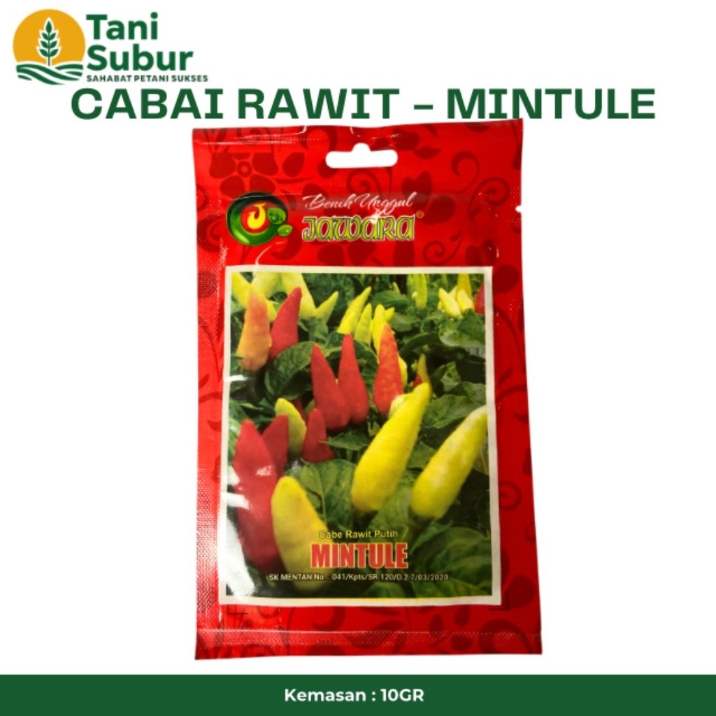 CABAI RAWIT MINTULE 10GR JAWARA - BIBIT