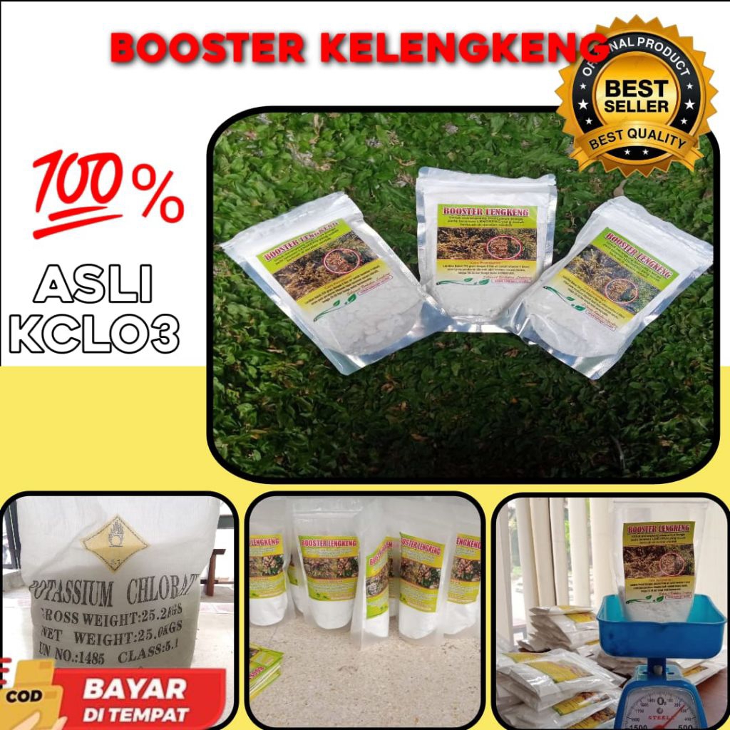 CEPAT BERBUAH  Booster Kelengkeng Buat Kelengkeng, Booster Kelengkeng Cair