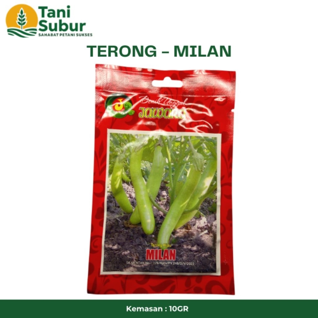 TERONG HIJAU MILAN 10GR JAWARA - BIBIT