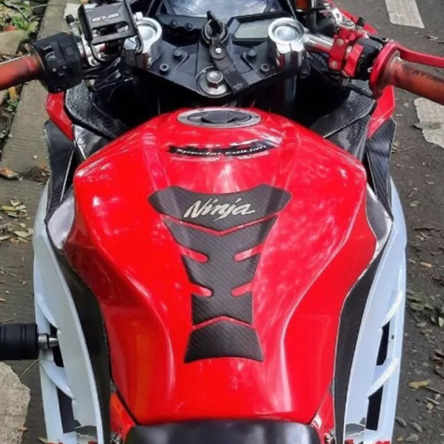 Cat Kawasaki 250 fi (merah solid)