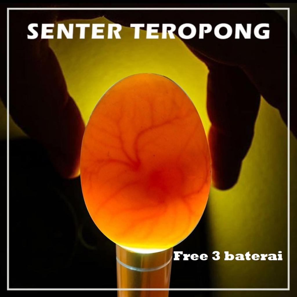 Senter teropong pengecek telur burung ayam unggas inkubator led murah