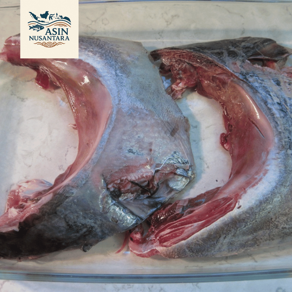Rahang Tuna Frozen  Kama Tuna  Best Quality Seafood