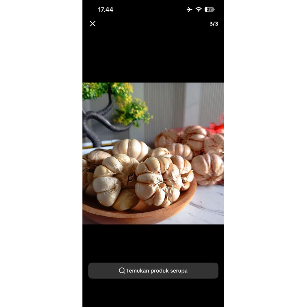 BAWANG putih sinco