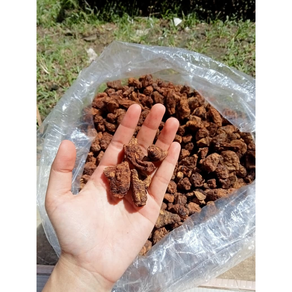 KLEMBAK SRINTIL 100 GRAM