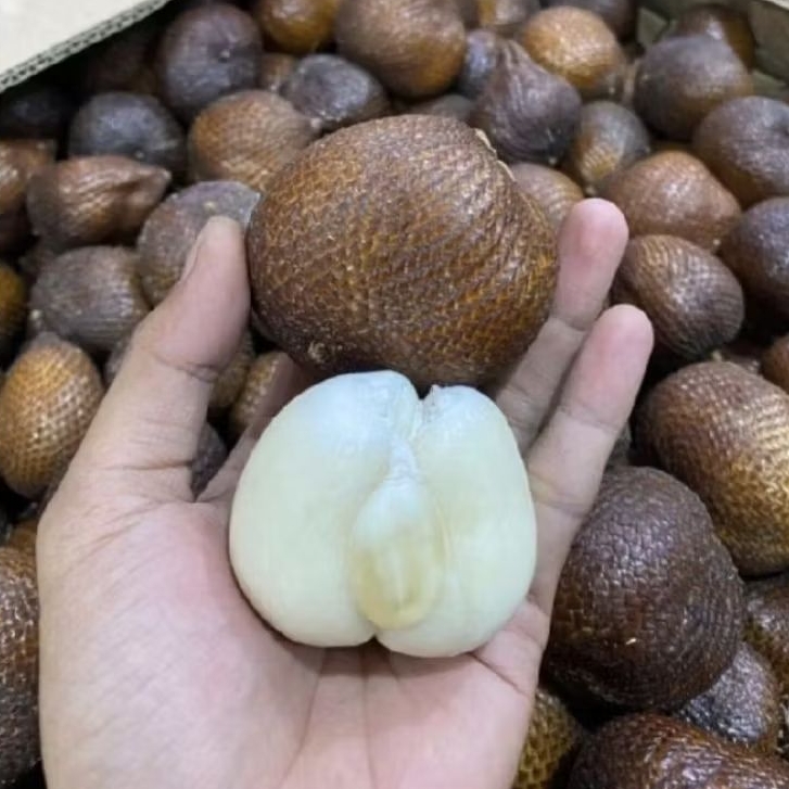 salak Bali super manis super cruncy salak lokal manis 1 kg