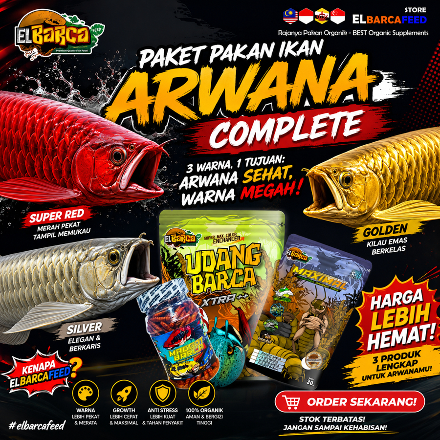 PAKET PAKAN IKAN ARWANA Super red, Golden, Albino, Silver optimalkan pertumbuhan ikan arwana