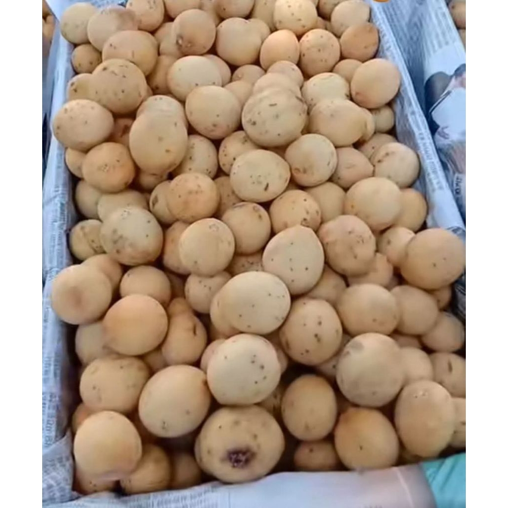 Duku Palembang manis