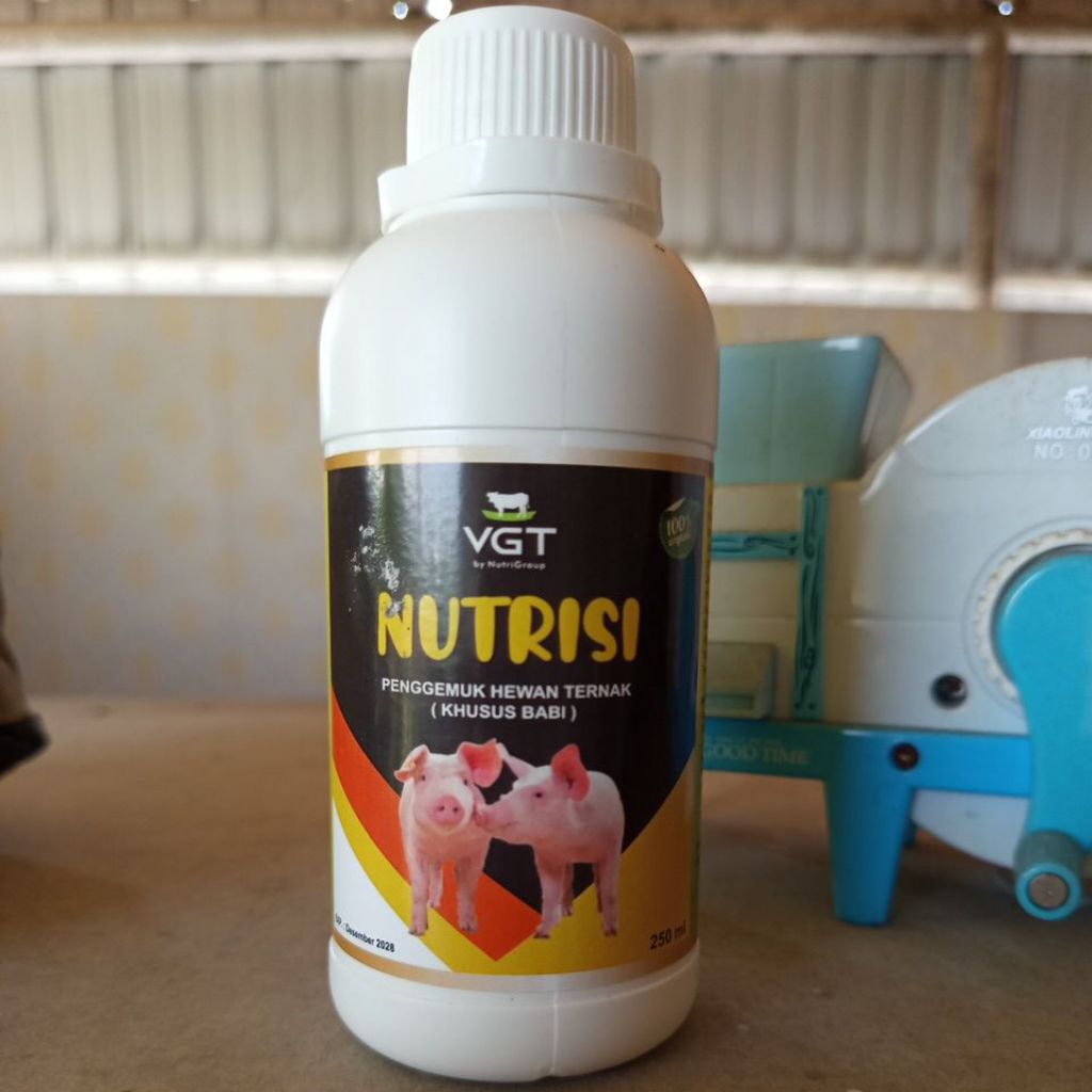VGT Nutrisi Ternak Babi Probiotik Vitamin Organik Aman untuk Indukan Hamil