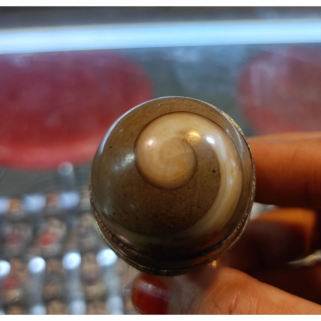 Cincin Fosil keong jumbo (Natural)
