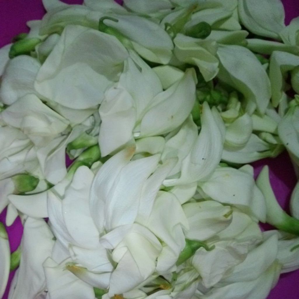 Sayur Bunga Kembang Turi segar