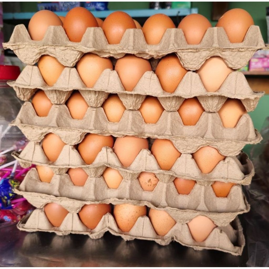 Ready Telur Ayam Jumbo