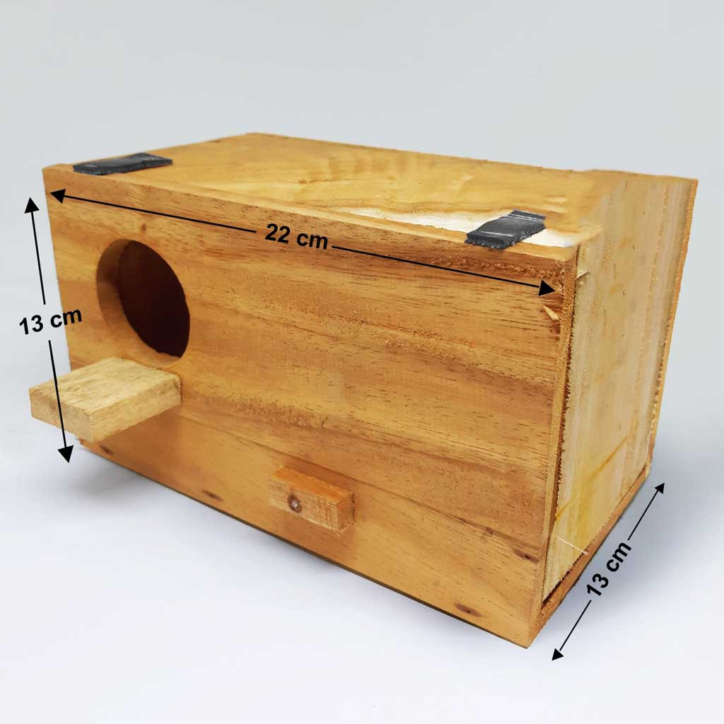 Glodok Parkit Lovebird Bahan Kayu Jawa Ternak Burung  Falk/Parkit Australia