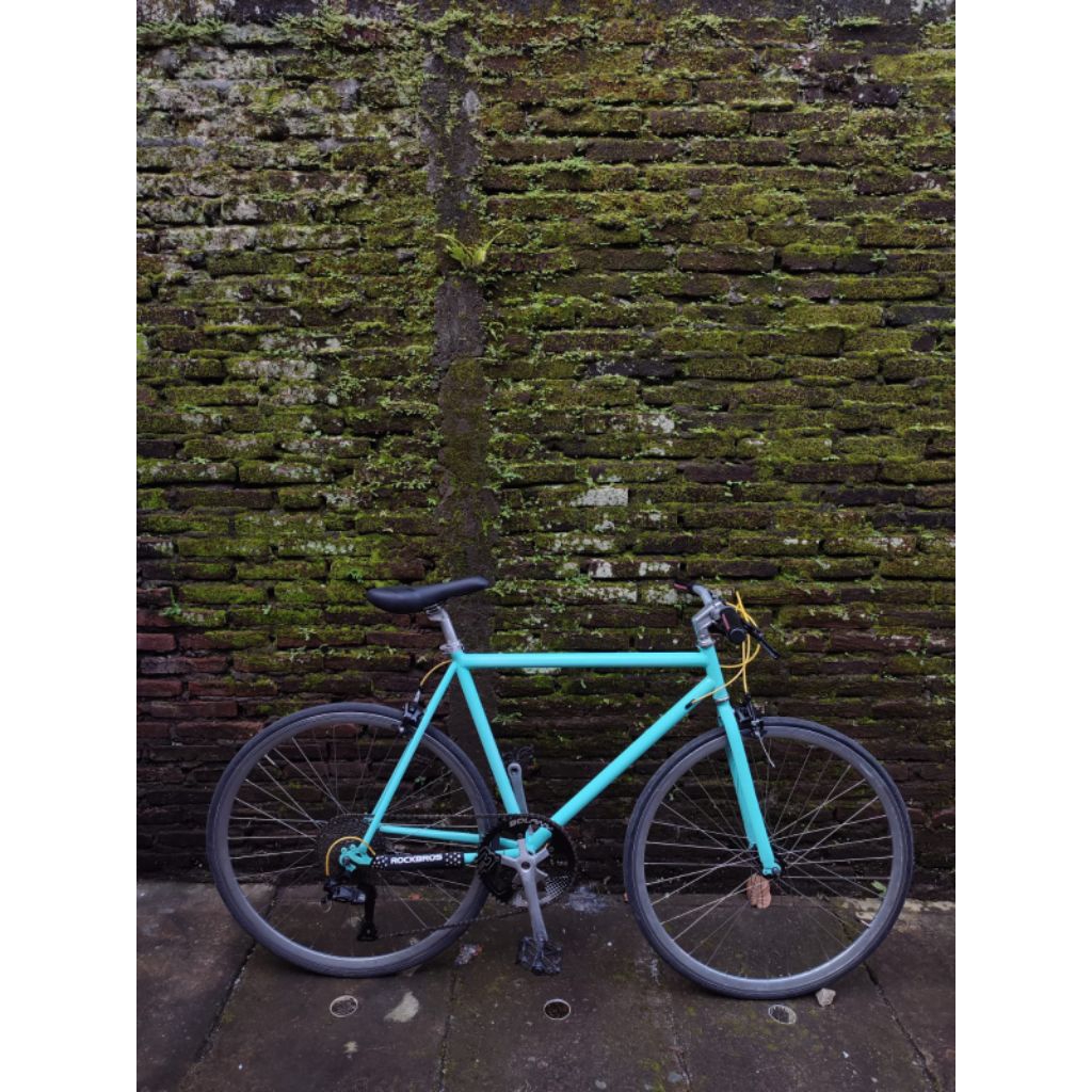 FRAME ROADBIKE ALAALA SURLY