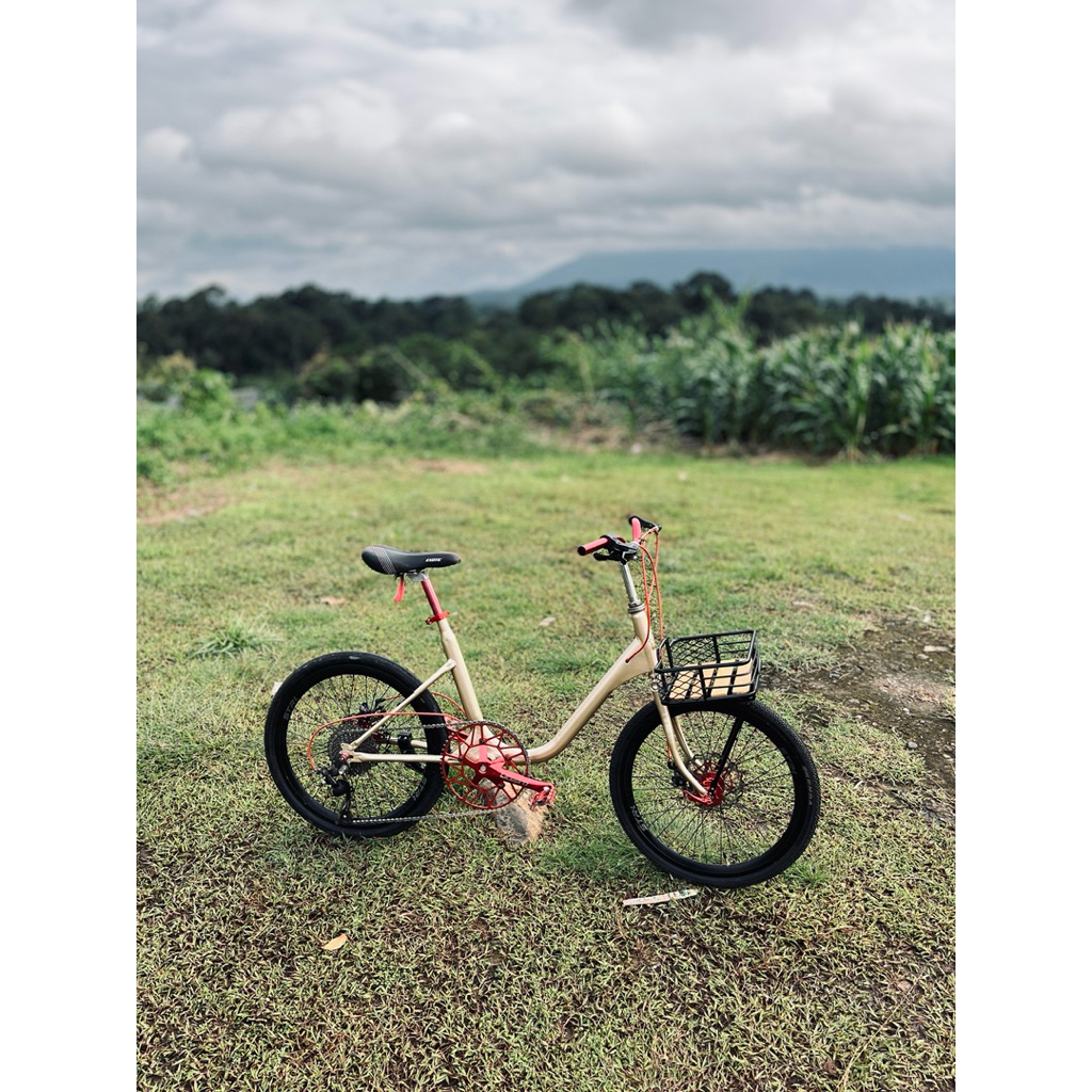 sepeda minion 20 inch full spek
