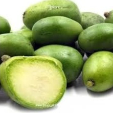 Bibit Tanaman Buah Kedondong Bangkok
