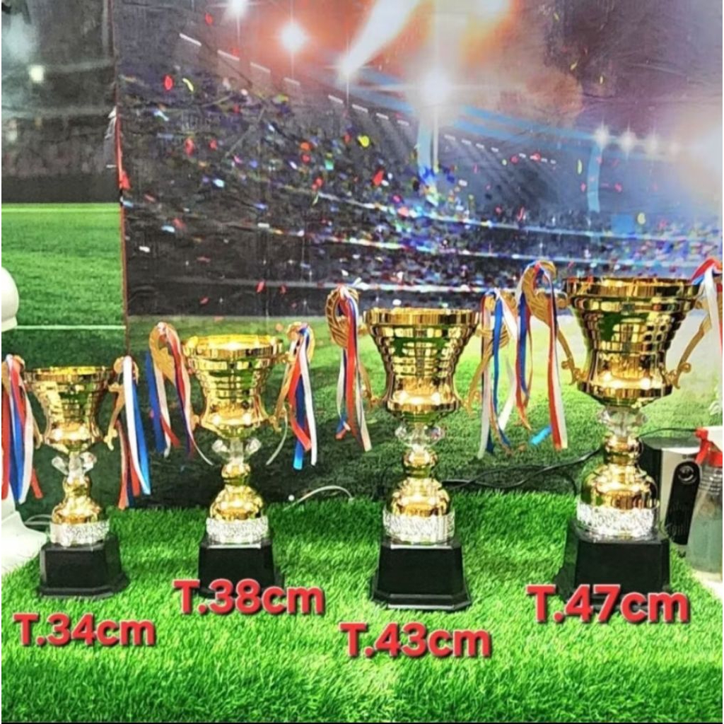 Trophy Piala Metal Cup Mix Silver
