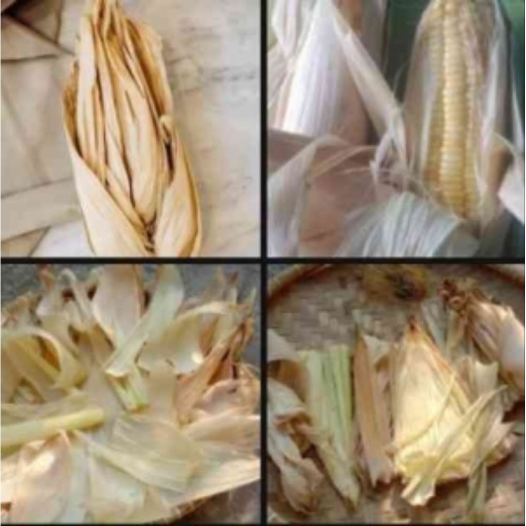 klobot kulit jagung kering