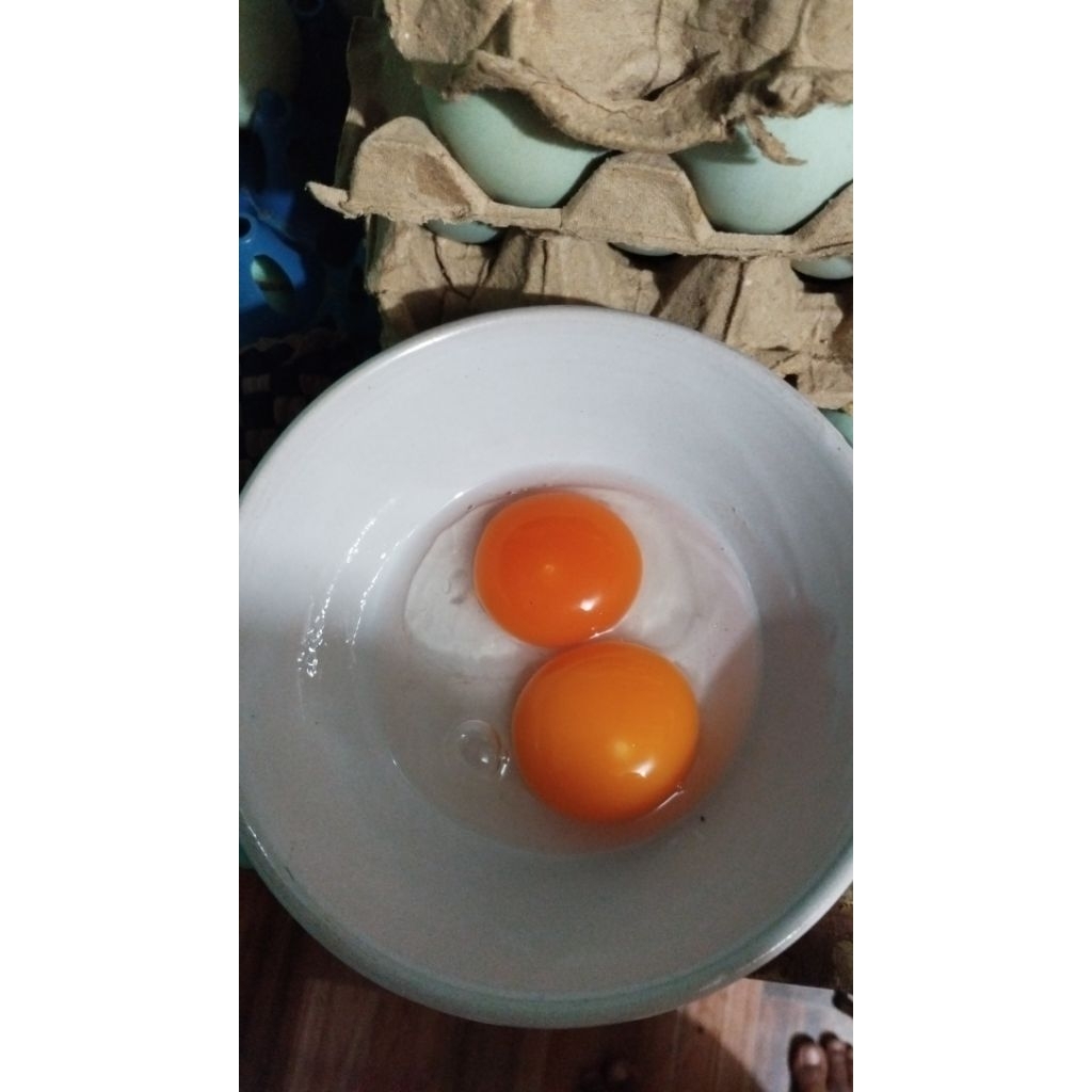 telur bebek mentah