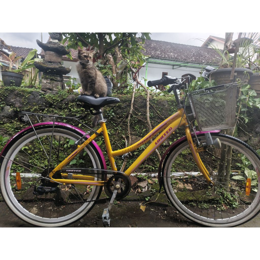 sepeda keranjang city bike united tc 3650 bekas