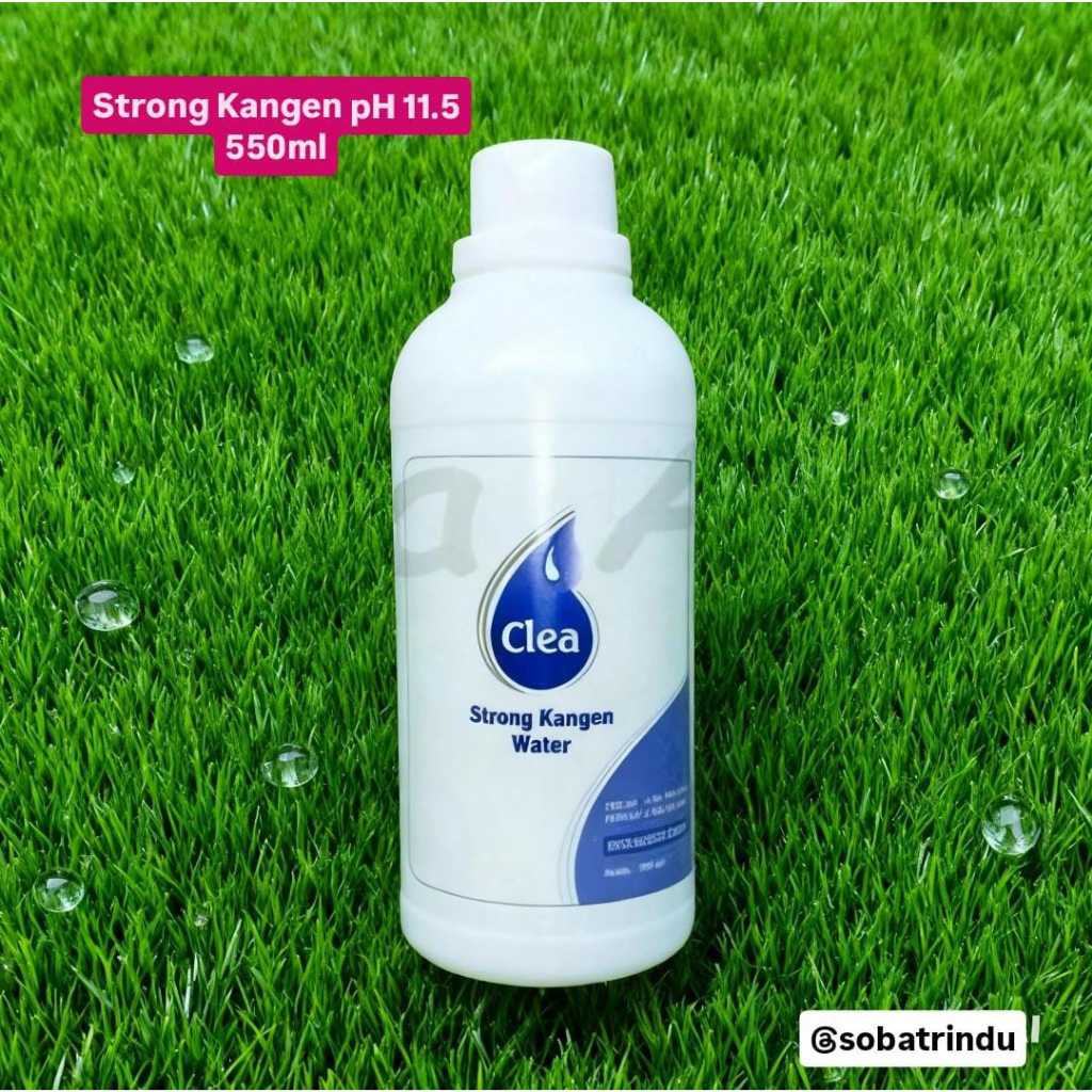 Strong Water pH 11,5 Alkali 550ml Detok Herbal Membantu asam lambung / kolesterol / diabetes / Langs