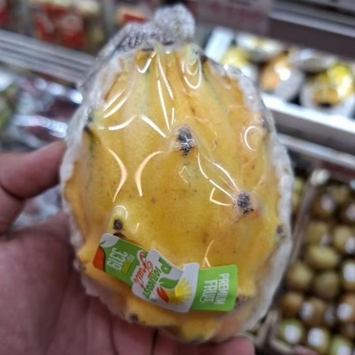 Dragon fruit yellow Ecuador | Buah naga kuning import Ekuador / 1kg