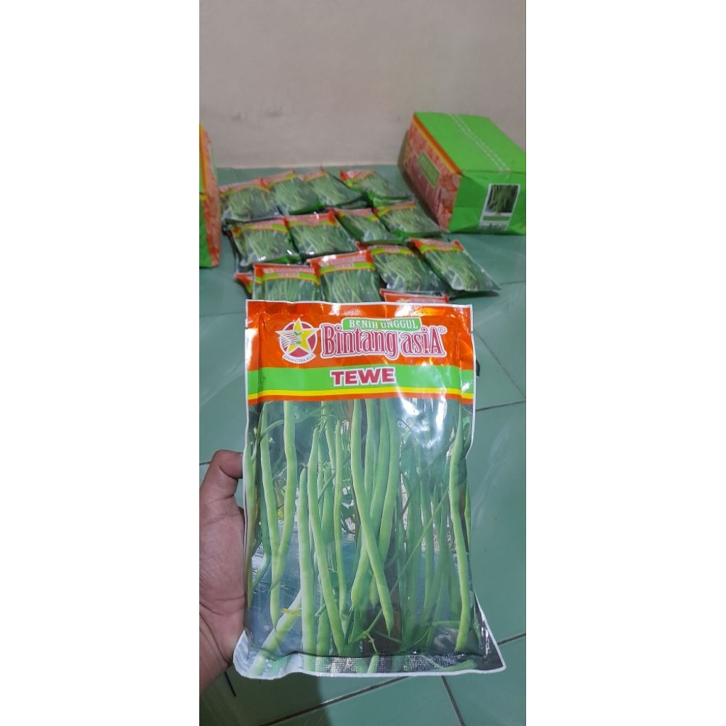 Buncis Tewe