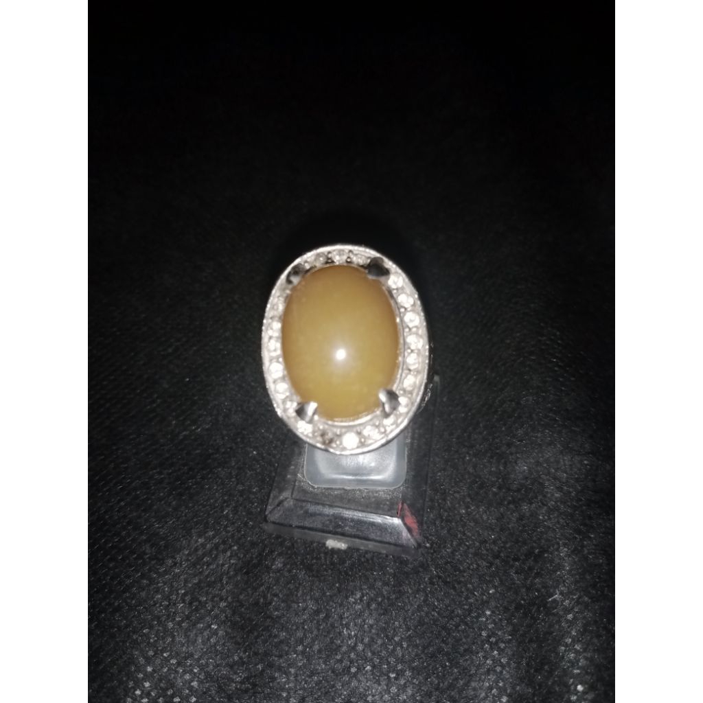 KUNING GARUT CIKOLAK