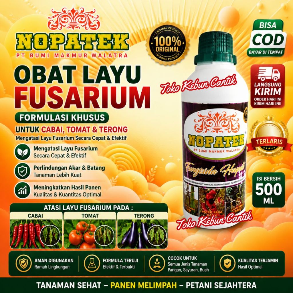 Obat Fusarium Cabai Tomat Terong Original Terlaris | Bisa COD NOPATEK