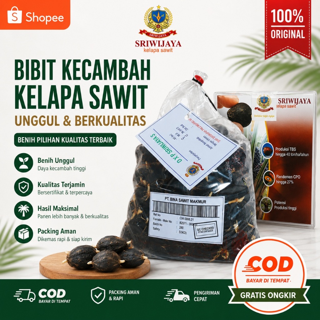 kecambah sawit berkualitas unggul Sriwijaya5