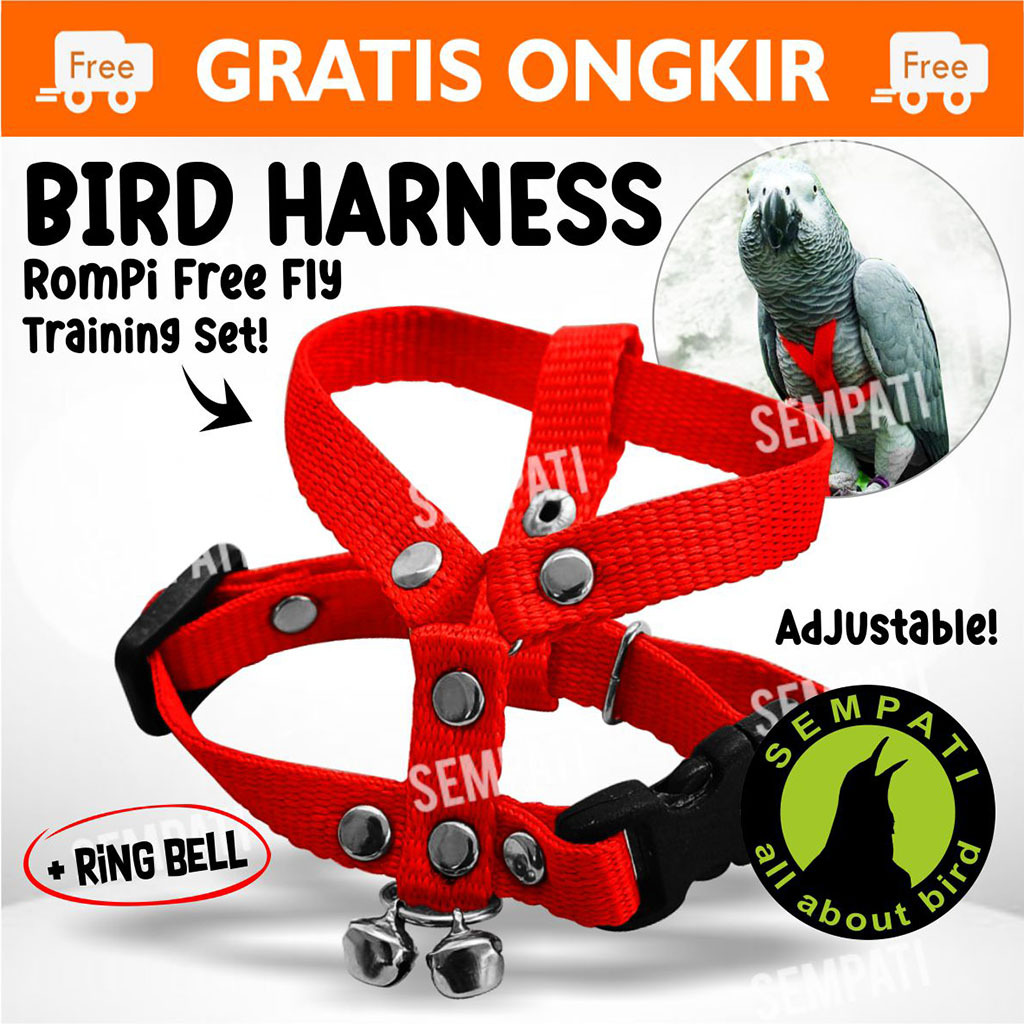 SEMPATI Harnes Burung Parrot Merpati Alap Alap Paruh Bengkok Lovebird Dara Nuri Beo Afgrey Parkit Ma
