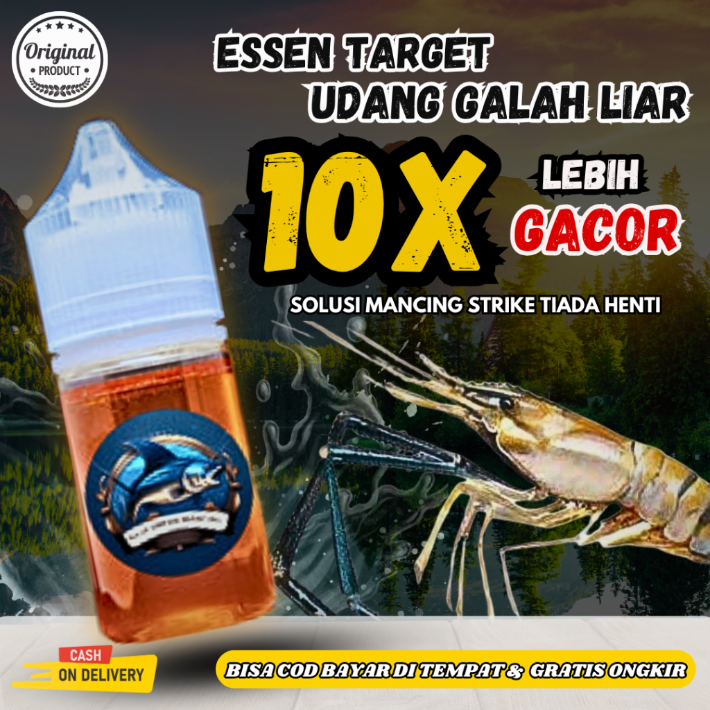 Essen Mancing Lobster Dan Udang Galah Liar Air Tawar Sungai Danau