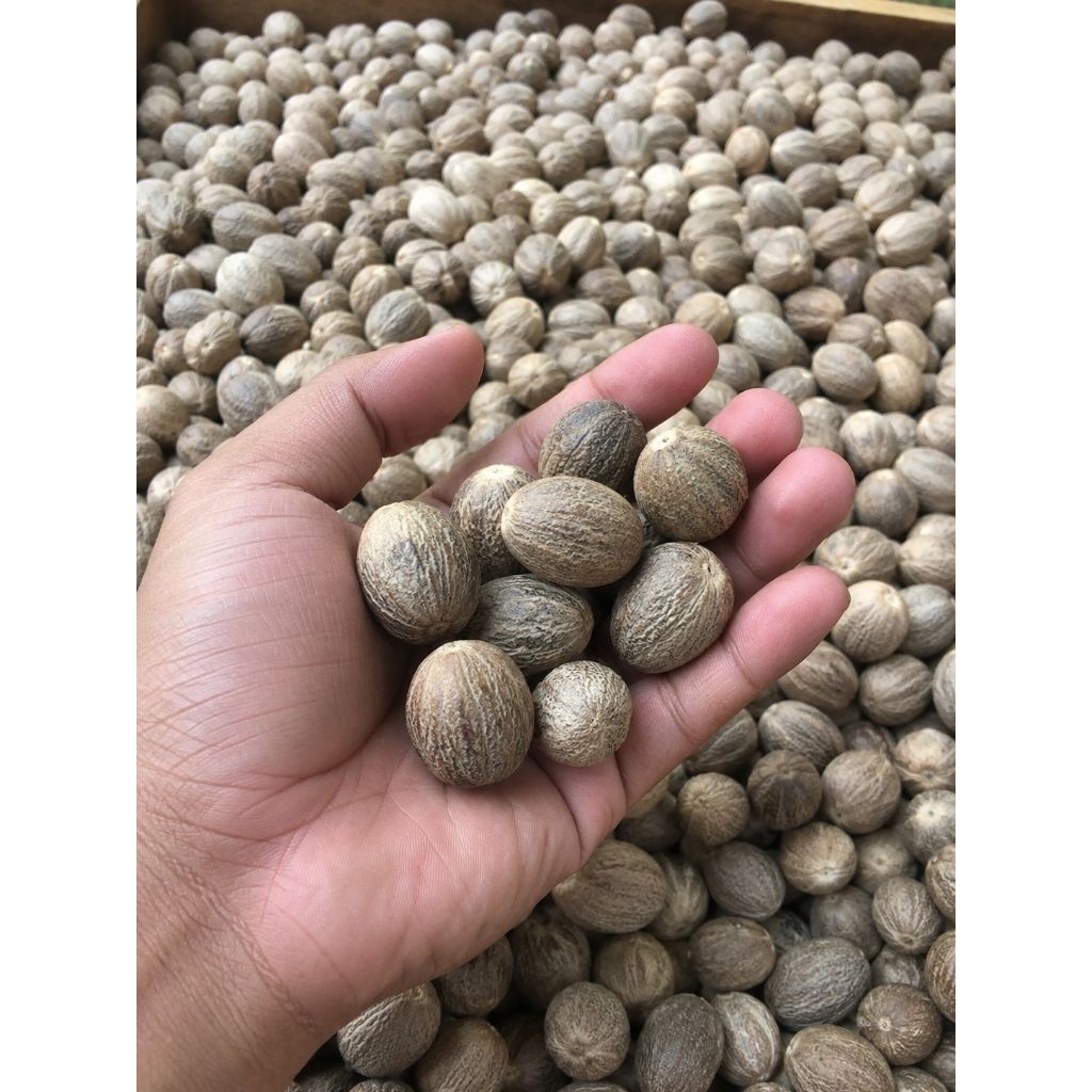 Biji Pala Kupas l Pala Kupas kering l Premium Nutmeg