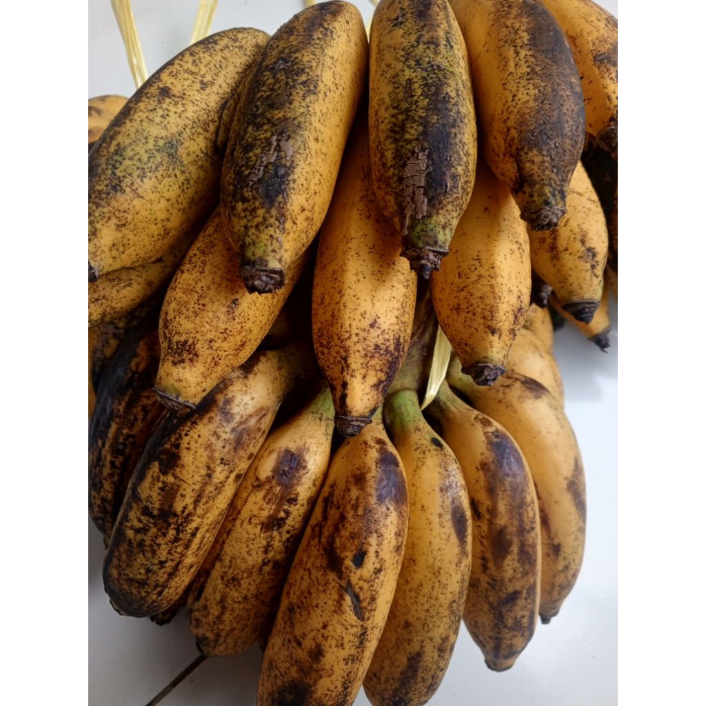 PISANG LILIN / PISANG ULI 1KG / BUAH SEGAR