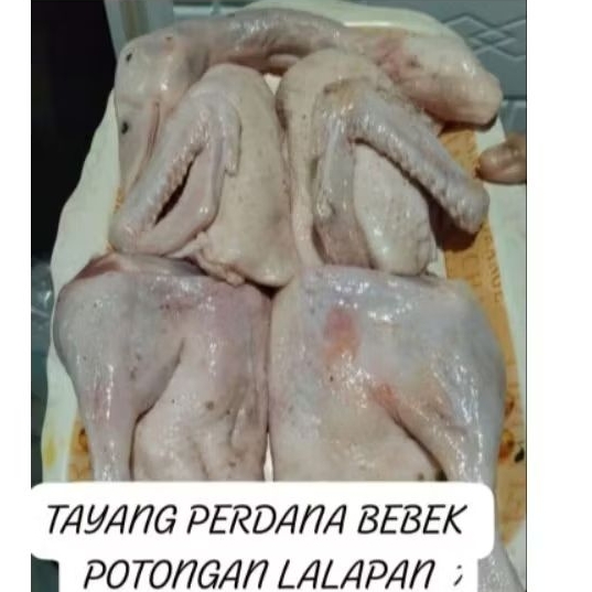 BEBEK POTONGAN LALAPAN