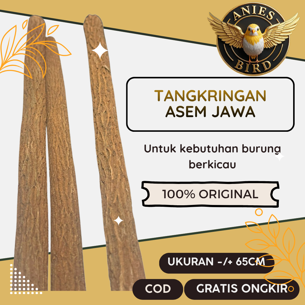 Tangkringan Asem Jawa Super Pangkringan Kayu Asem Jawa Super Sangkar Burung
