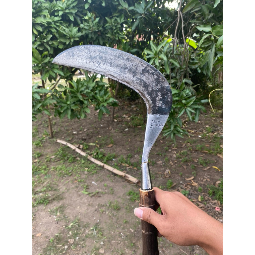 Riyan baja tembus sabit rumput