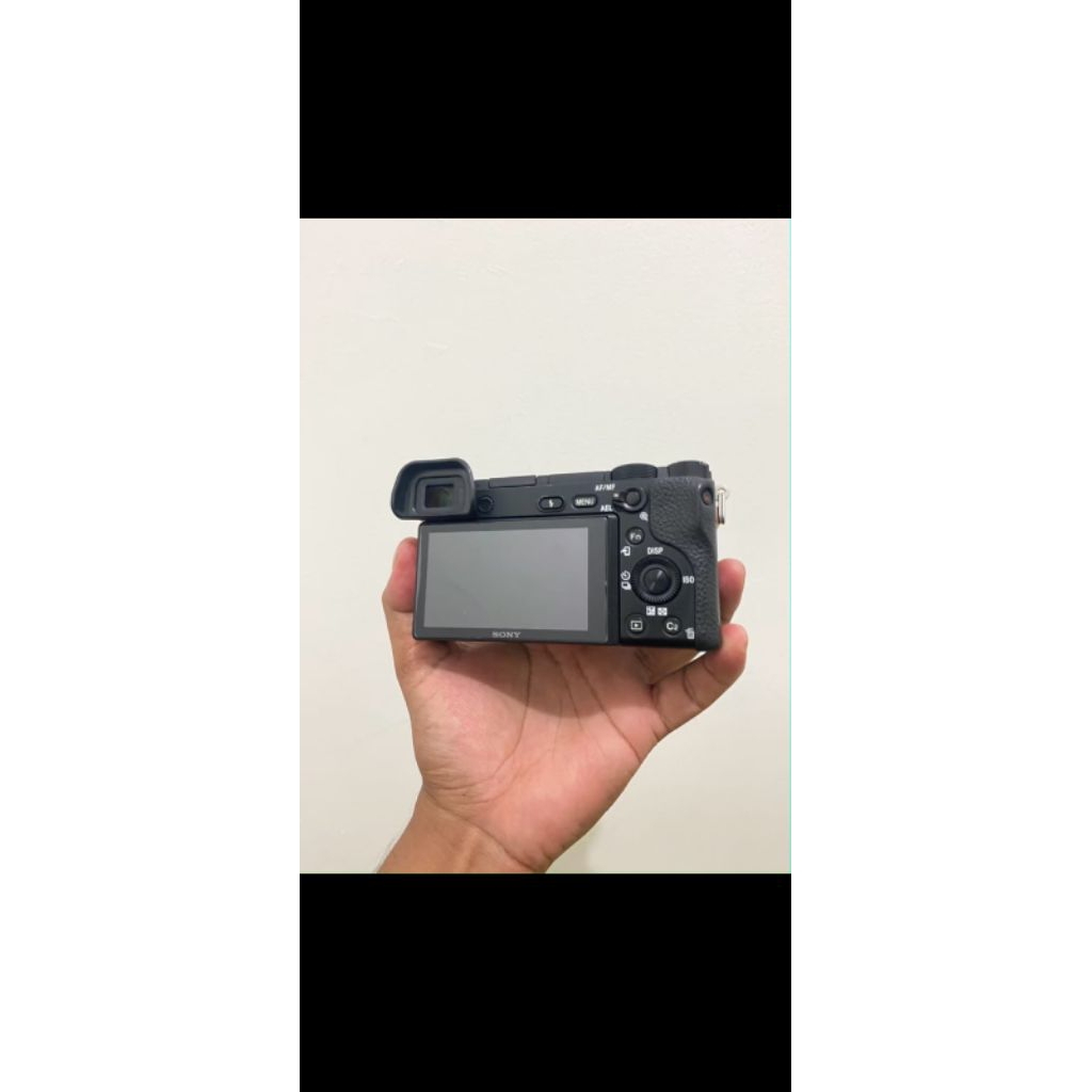 sony a6300