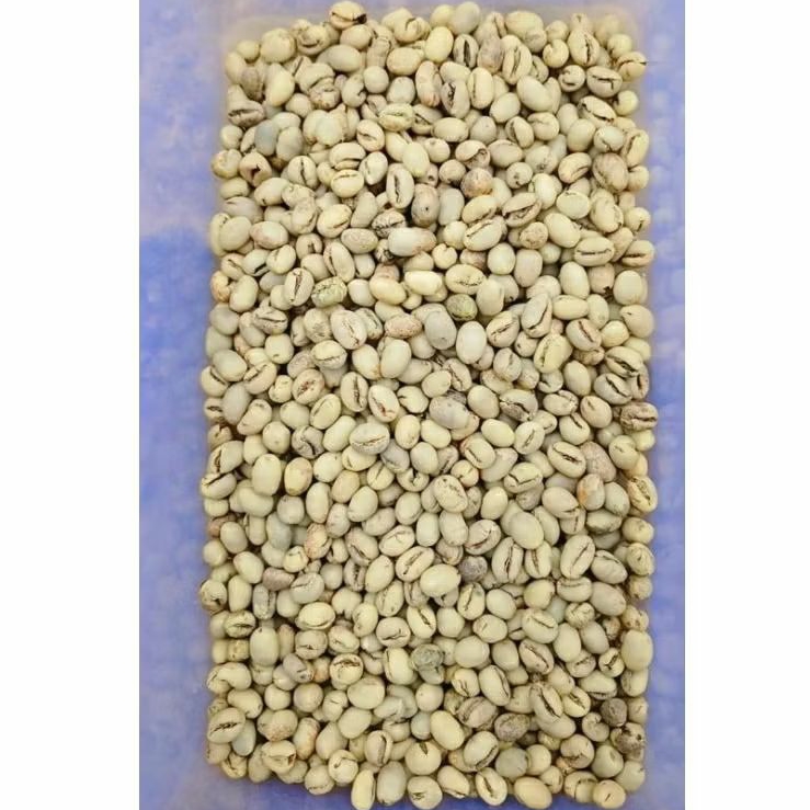 Greenbean lanang robusta / kopi lanang robusta original 1kg