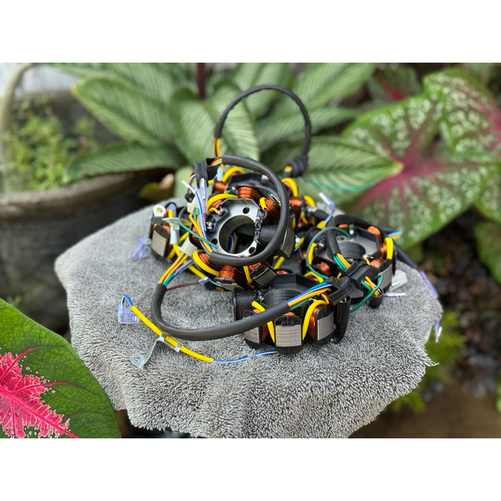 spul stator AC DC fullwave tiger tirev viar tossa jaguar