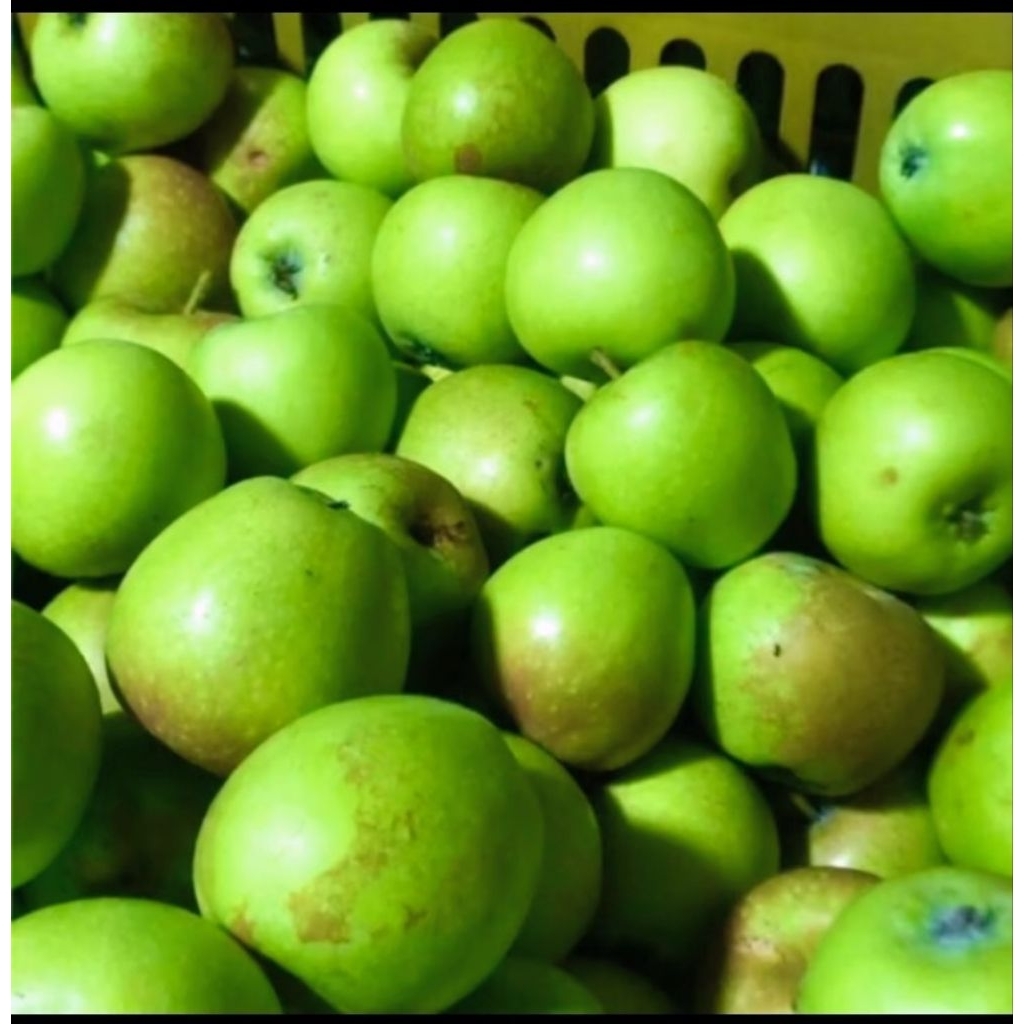 Apel Malang Manalagi Mini 1kg - Manis, Renyah, dan Segar