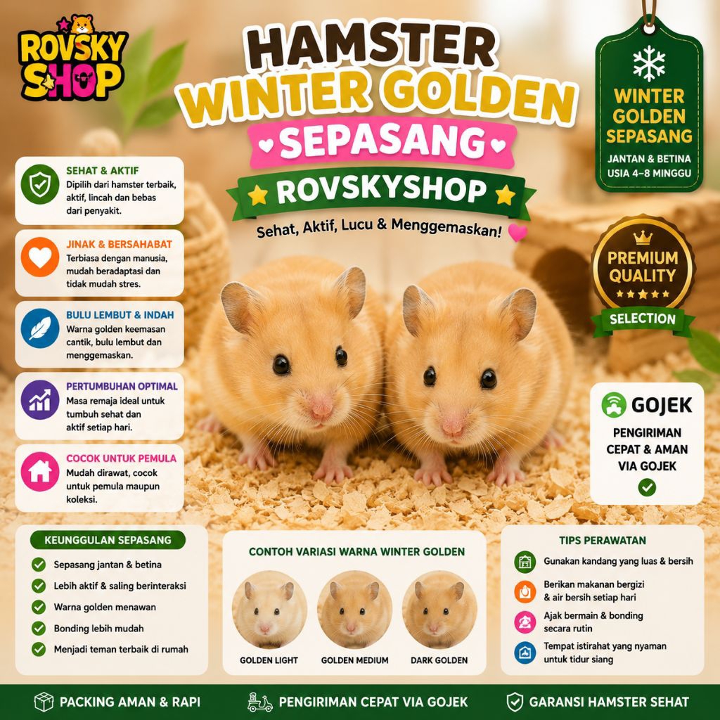 HAMSTER WINTER GOLDEN SEPASANG [GOJEK]