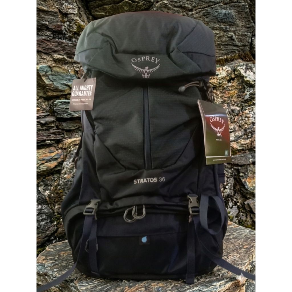 carrier Stratos 36 navy