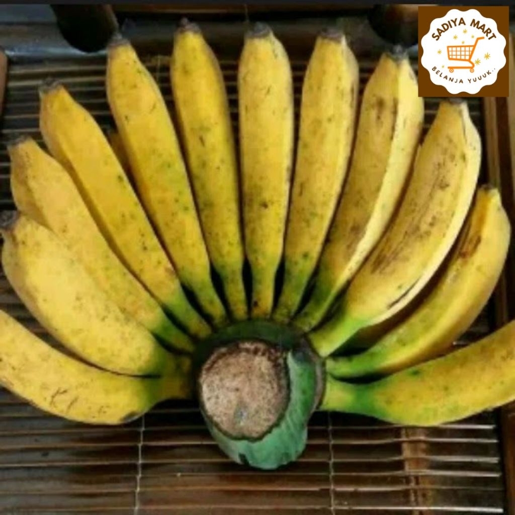Pisang Raja Bulu Manis Bandung 1kg